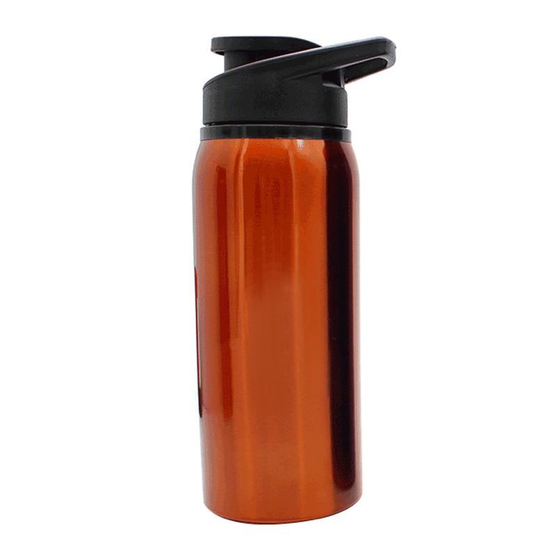 Stainless Steel Drinking Bottle With Flip Cap One Dollar Only