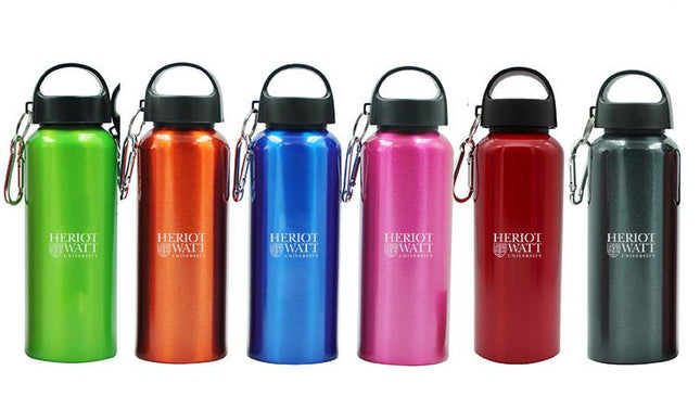 Stainless Steel Drinking Bottle With Broad Handle And Clip One Dollar Only