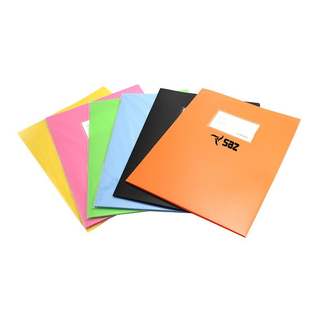 Matte Document Holder One Dollar Only