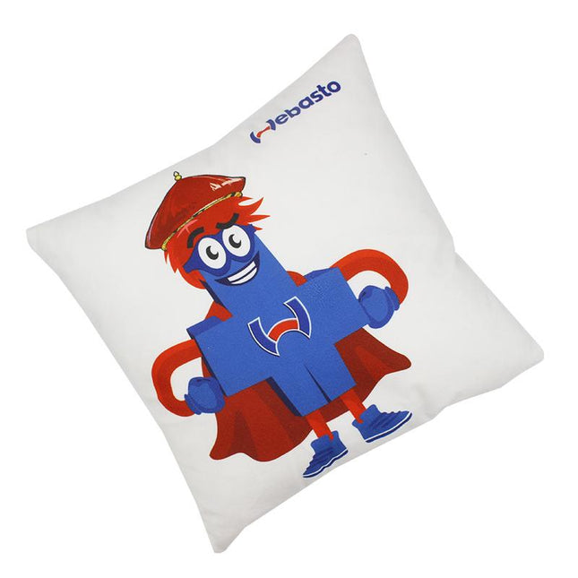 Short Plush Square Pillows IWG FC One Dollar Only
