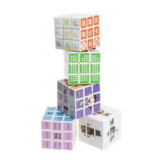 Intellectual Rubik’s Cube IWG FC One Dollar Only
