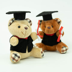 Graduation Bear Soft Toy Gift Ideas and Novelties One Dollar Only