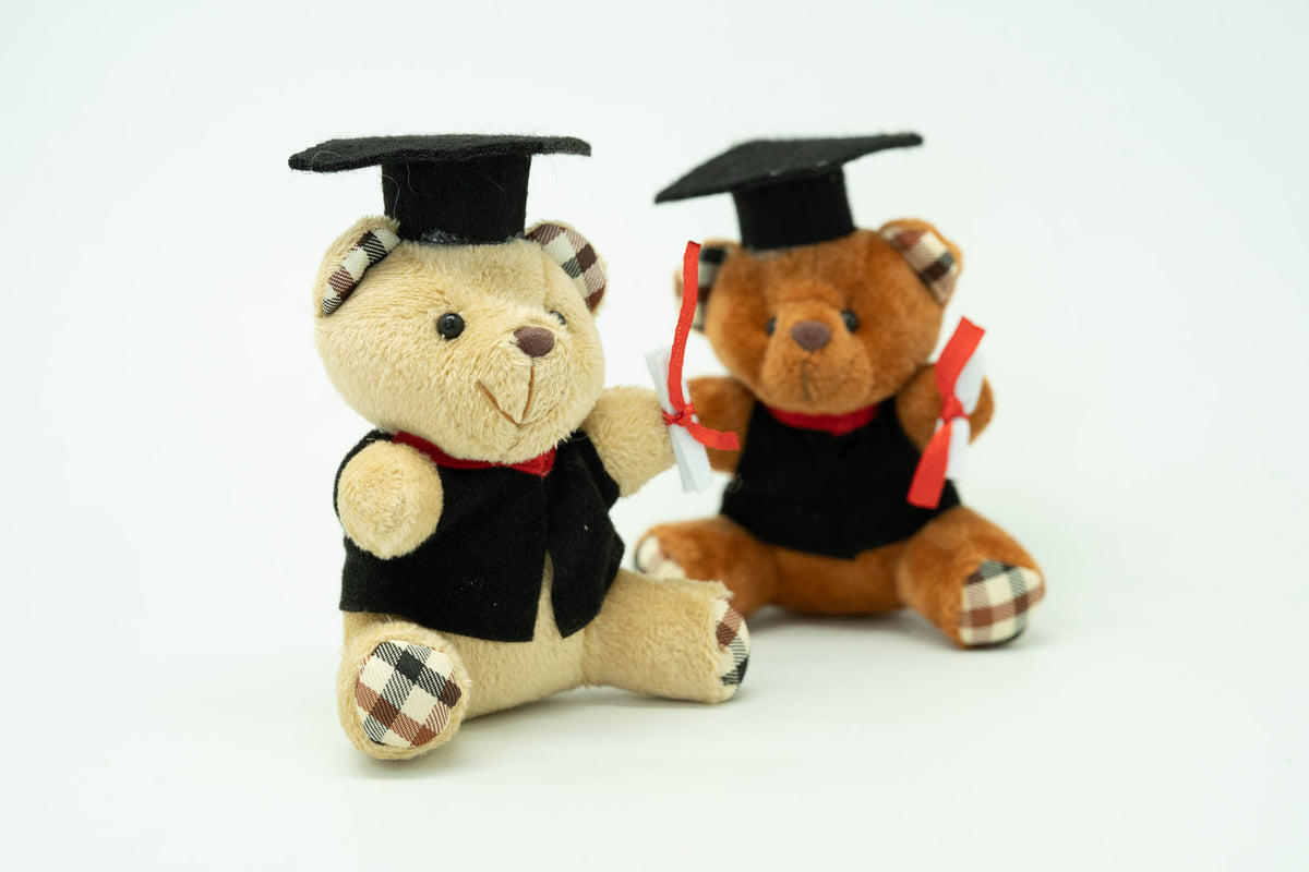 Graduation Bear Soft Toy Gift Ideas and Novelties One Dollar Only