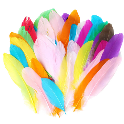 Colourful Feathers Art Craft & D.I.Y One Dollar Only