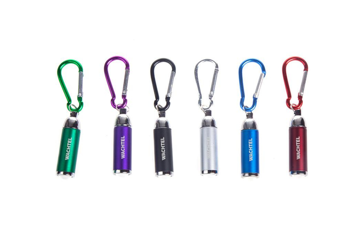 Coloured Mini Torch Light With Matching Carabiner One Dollar Only