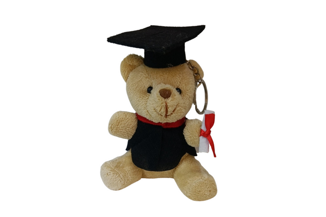 Light Brown Graduation Soft Bear Gift Ideas and Novelties One Dollar Only