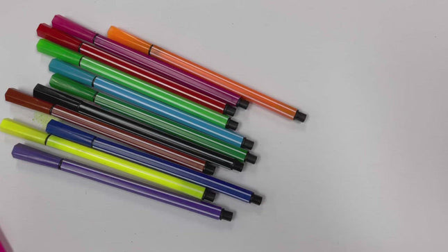 12 Piece Coloured Pens