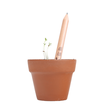 Sprout Pencil Pencils One Dollar Only