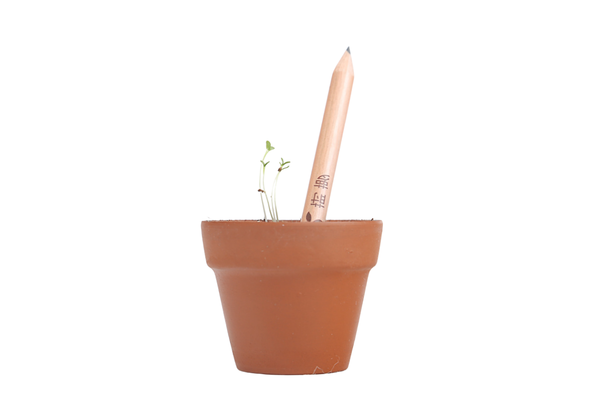 Sprout Pencil Pencils One Dollar Only