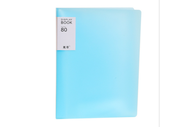 A4 Clear Book File One Dollar Only