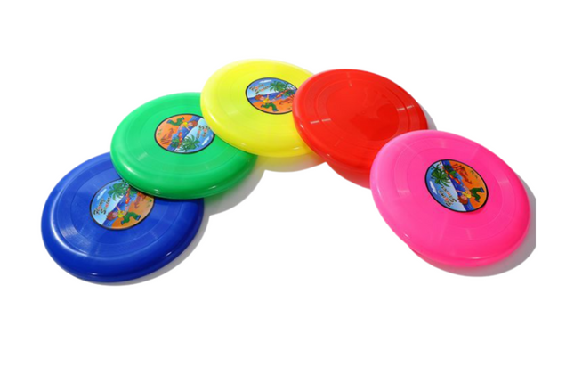 Frisbee One Dollar Only
