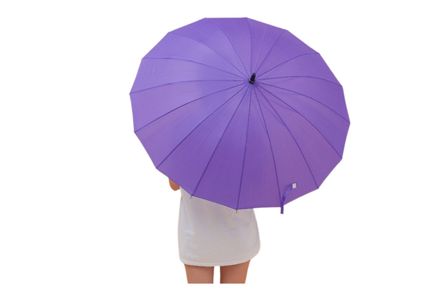 Umbrella One Dollar Only