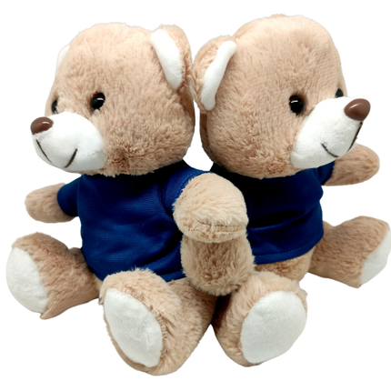 Blue Basic Tee Shirt Teddy Bear (20cm) One Dollar Only