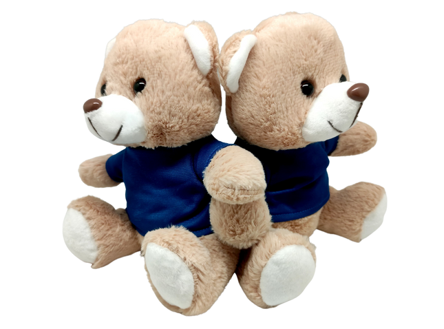 Blue Basic Tee Shirt Teddy Bear (20cm) One Dollar Only