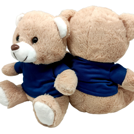 Blue Basic Tee Shirt Teddy Bear (20cm) One Dollar Only