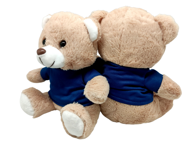 Blue Basic Tee Shirt Teddy Bear (20cm) One Dollar Only