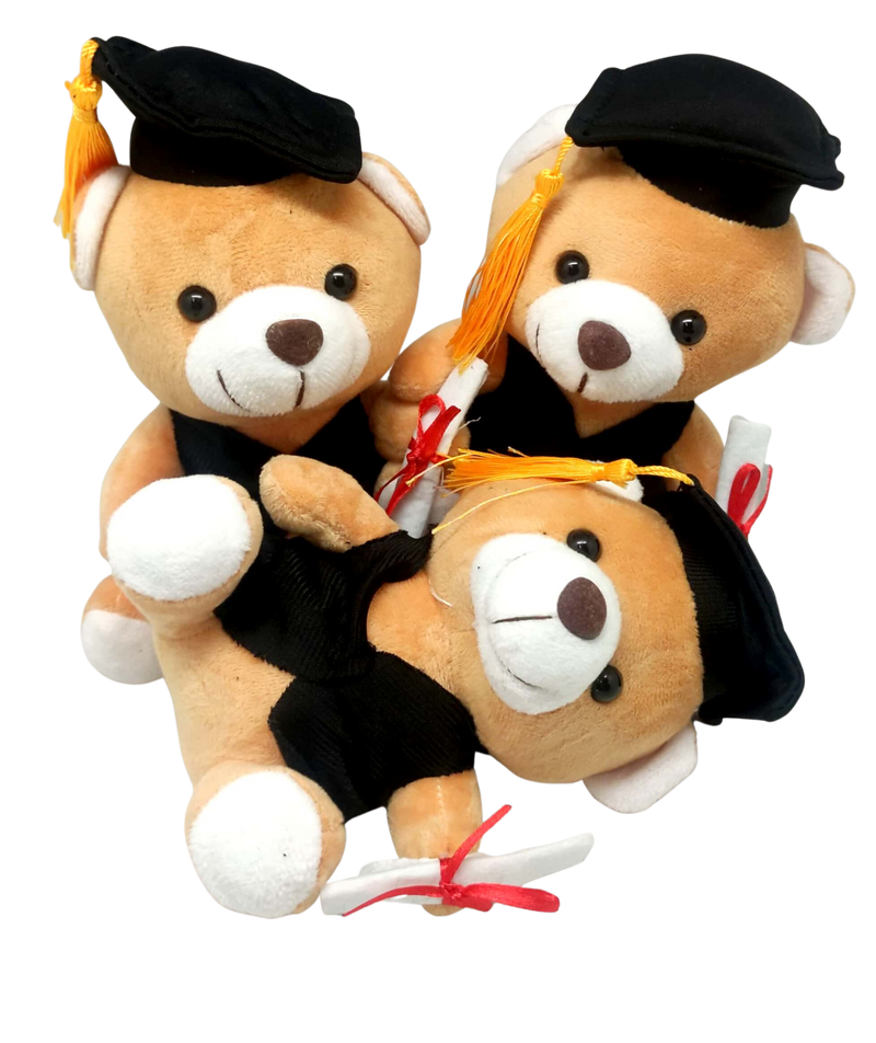 Graduation Soft Bear 16cm Gift Ideas and Novelties One Dollar Only