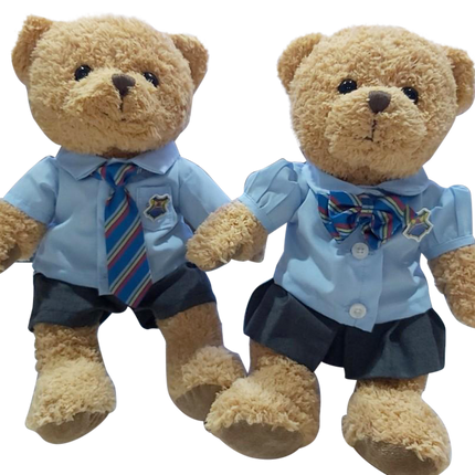 Customised Bear (Preorder) One Dollar Only