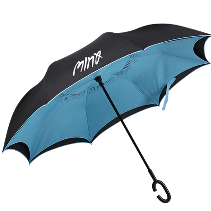 Customised Umbrella (Preorder) One Dollar Only