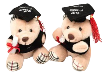 Customised Graduation (Preorder) One Dollar Only
