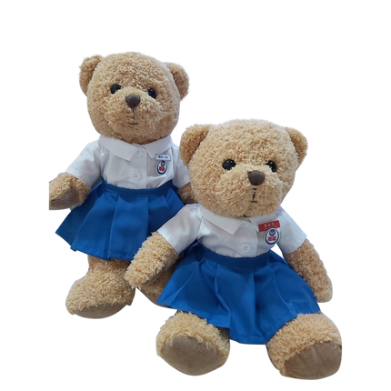 Customised Bear (Preorder) One Dollar Only