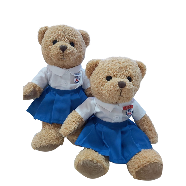 Customised Bear (Preorder) One Dollar Only