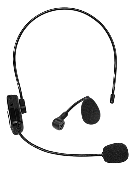 Customised Wireless Microphone (Preorder) One Dollar Only
