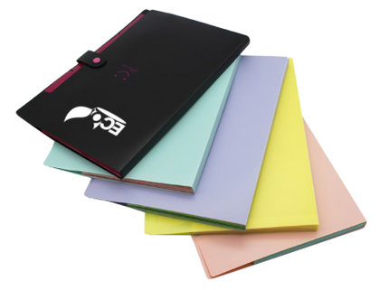 Customised Accordion Folder (Preorder) One Dollar Only