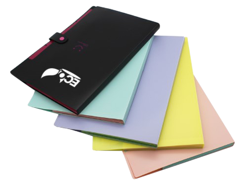 Customised Accordion Folder (Preorder) One Dollar Only