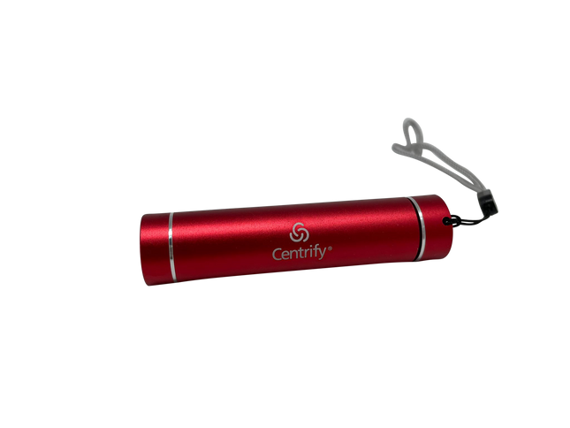 Customised Torch Light (Preorder) One Dollar Only