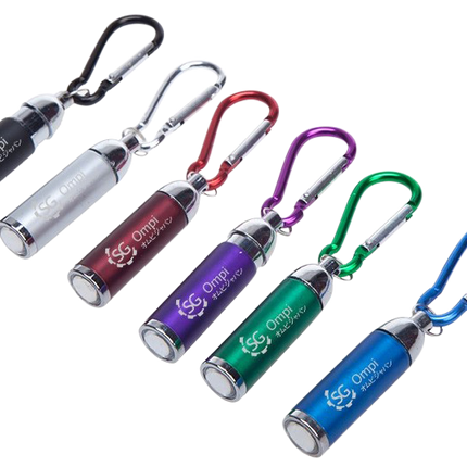 Customised Torch Light (Preorder) One Dollar Only