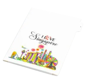 Customised Divider Folder (Preorder) One Dollar Only