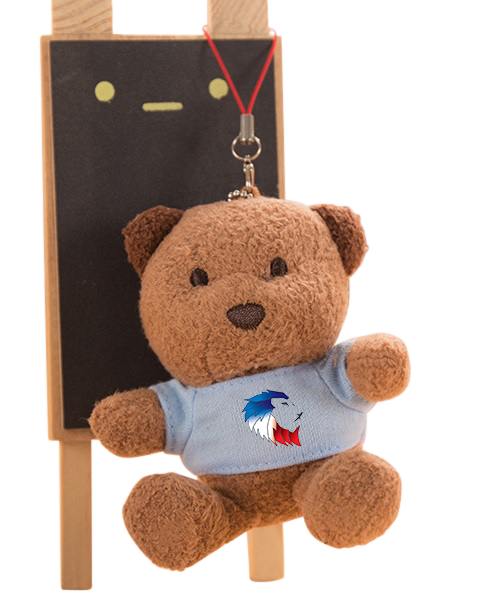 Customised Plush Toy Keychain (Preorder) One Dollar Only