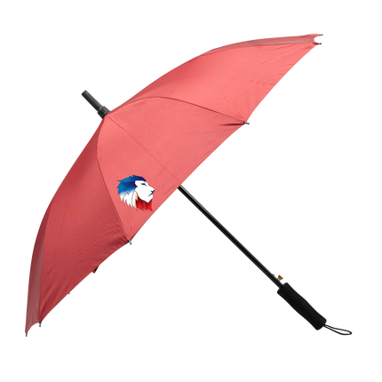 Customised Umbrella (Preorder) One Dollar Only