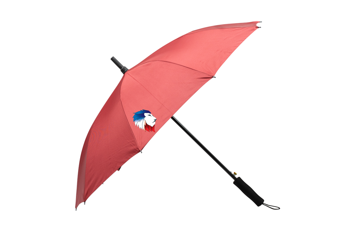Customised Umbrella (Preorder) One Dollar Only