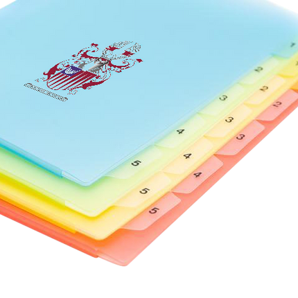 Customised Divider Folder (Preorder) One Dollar Only