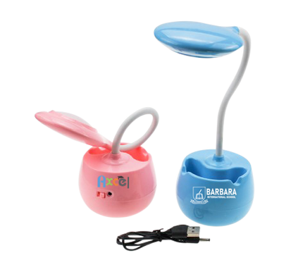 Customised USB Light (Preorder) One Dollar Only