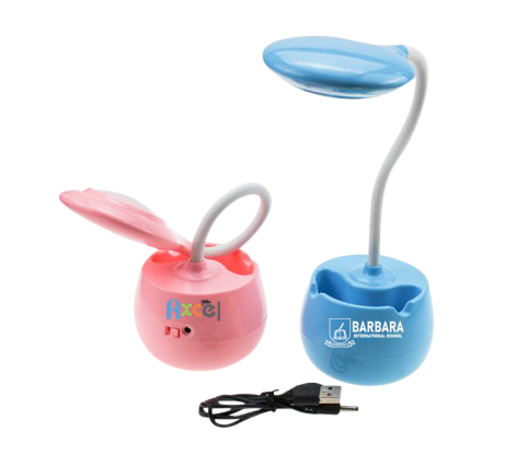 Customised USB Light (Preorder) One Dollar Only