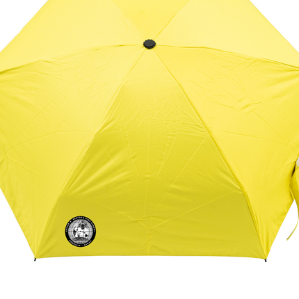 Customised Umbrella (Preorder) One Dollar Only