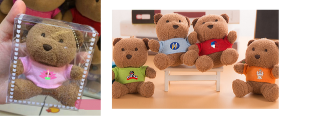 Customised Plush Toy Keychain (Preorder) One Dollar Only
