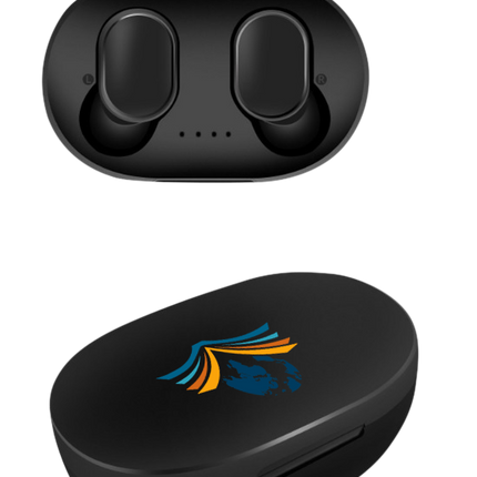 Customised Earphone (Preorder) One Dollar Only