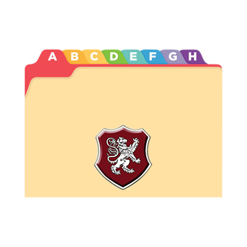 Customised Divider Folder (Preorder) One Dollar Only