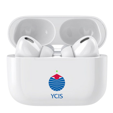 Customised Earphone (Preorder) One Dollar Only
