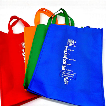 B4 Non-Woven Bag Bags One Dollar Only