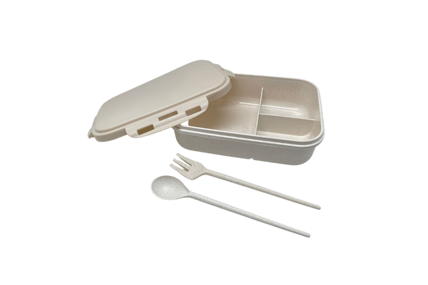 Eco-Friendly Lunch Box Gift Ideas and Novelties One Dollar Only