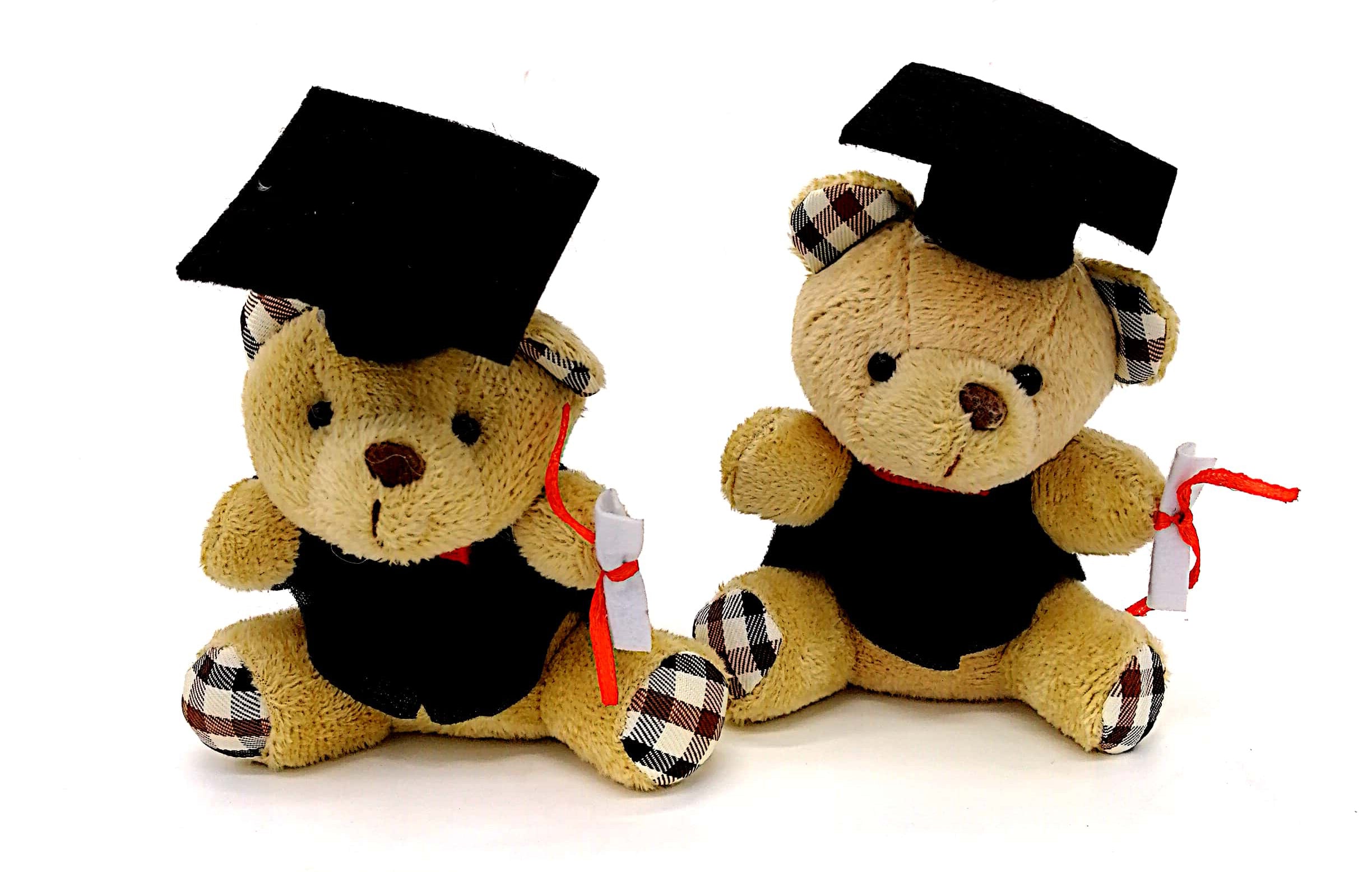 Small graduation deals teddy bear