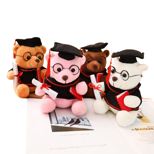 Graduation Bear in 4 Colour (23cm)