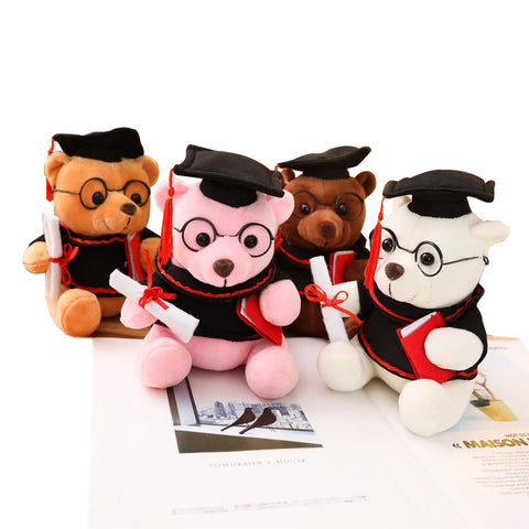 graduation bear in 4 colours