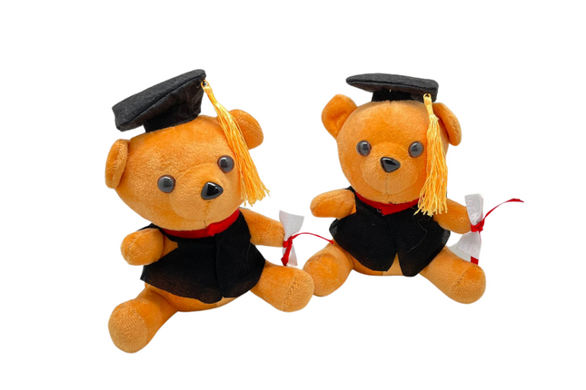 Large Graduation Bear (18 cm) Seasonal One Dollar Only