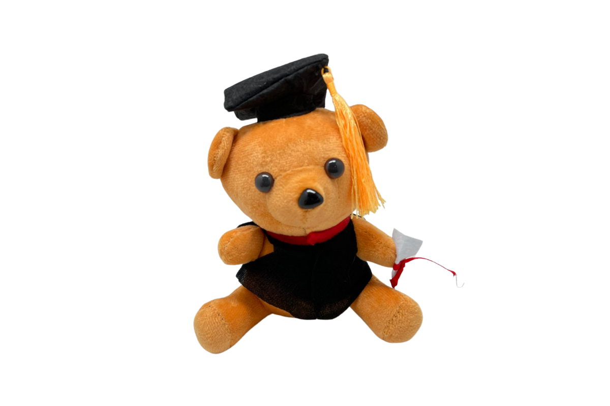 Giant graduation bear 2025